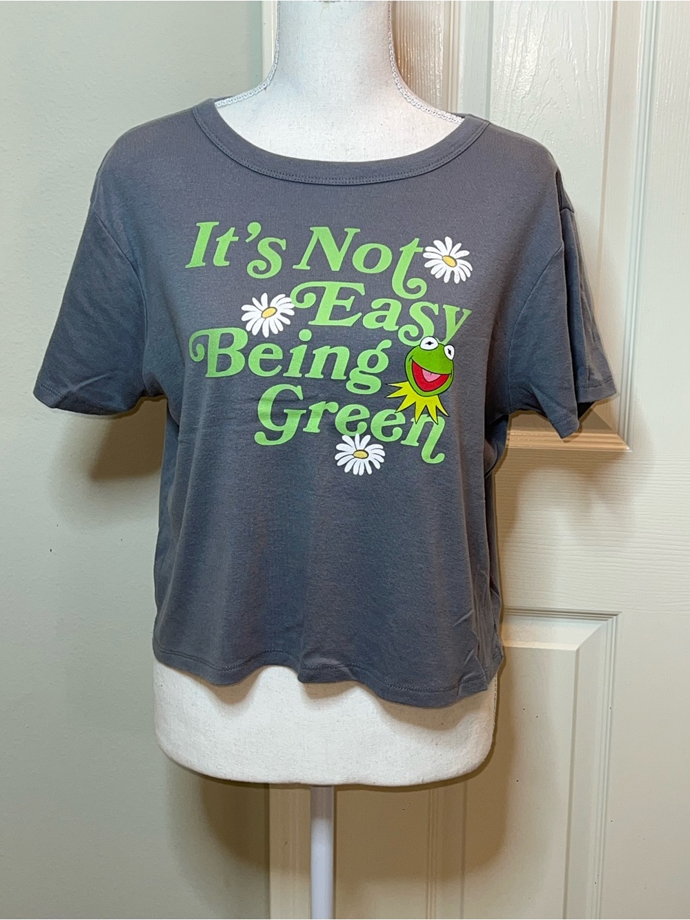 Disney The Muppets Kermit The Frog Semi-Cropped Graphic Tee